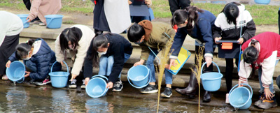 【写真】稚魚を放流する様子