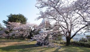 秋葉公園写真1