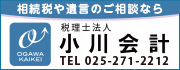 税理士法人小川会計