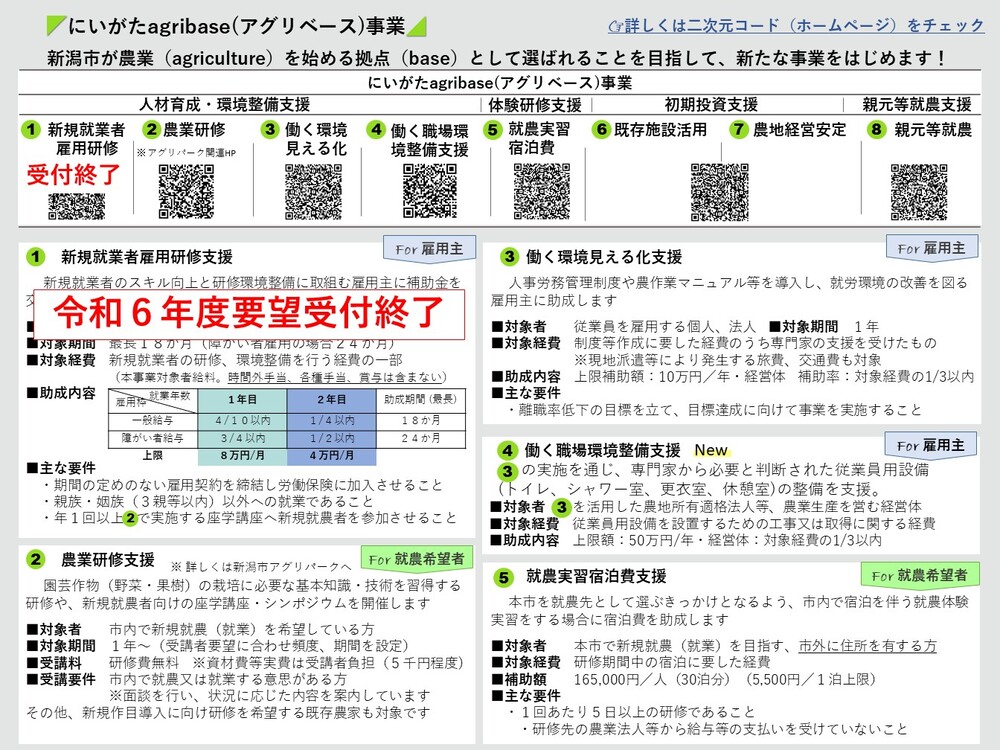 事業のチラシ2枚中の1枚目です