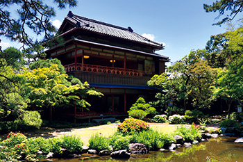 旧齋藤家別邸　夏は深緑