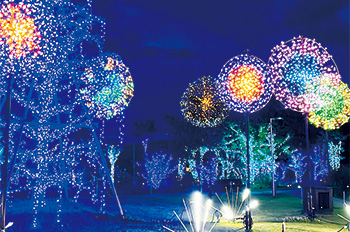 夜空に輝く花火が楽しめる