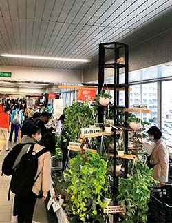 花会場(新潟駅)