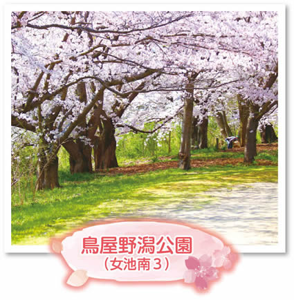 鳥屋野潟公園(女池南3)