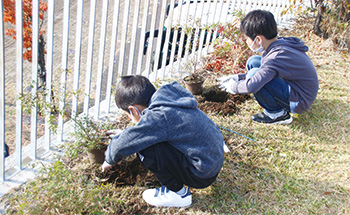 植樹する児童のようす