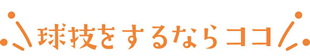 球技をするならココ