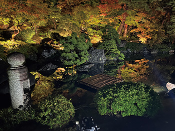 旧齋藤家別邸　秋の庭園ライトアップ