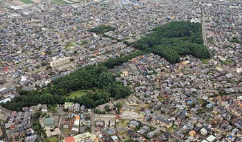 じゅんさい池を上空から見るとこんな形