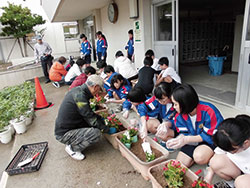 玄関前の花の苗植え（木戸中学校）