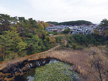 じゅんさい池　住宅地に残る砂丘湖