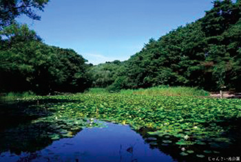 じゅんさい池公園