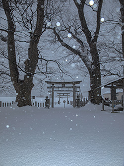 雪の降る日