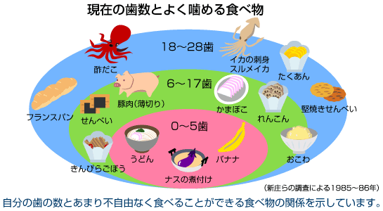 現在の歯数とよく噛める食べ物の画像