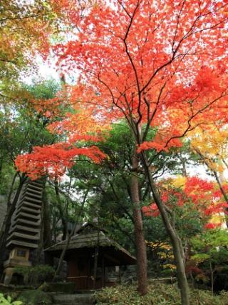 紅葉と田舎屋