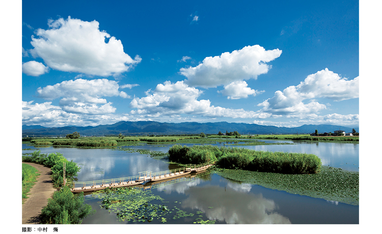 潟の浮橋