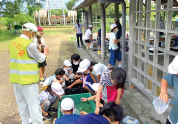 濁川小学校 調べよう私たちの町 トンボ池