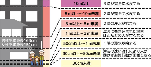 津波の高さ図表