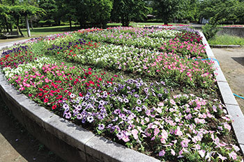 濁川公園　風景