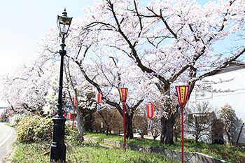 葛塚東部緑道　風景