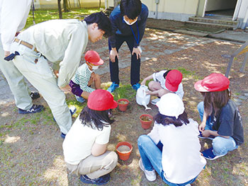 飛砂対策としてのぐみの木植樹