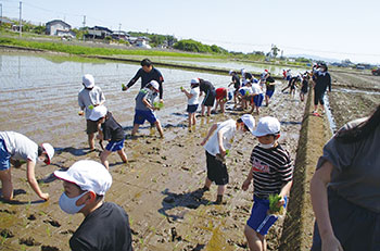 おいしい木崎の米づくり