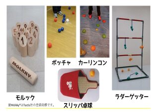 体験！ニュースポーツ入門の様子