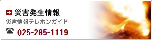 災害発生情報　災害情報テレホンガイド025-224-1111