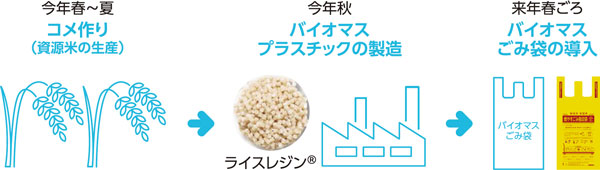 今年春～夏　コメ作り（資源米の生産）→今年秋　バイオマスプラスチックの製造　ライスレジン（R）→来年春ごろ　バイオマスごみ袋の導入