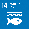 ゴール14