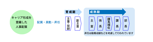 昇任制度の図