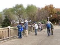 探鳥会の様子