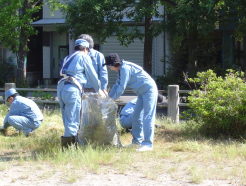 東北電力株式会社新潟営業所－活動中の写真2－たくさんのゴミが出ました