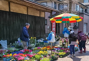 新飯田市場の写真