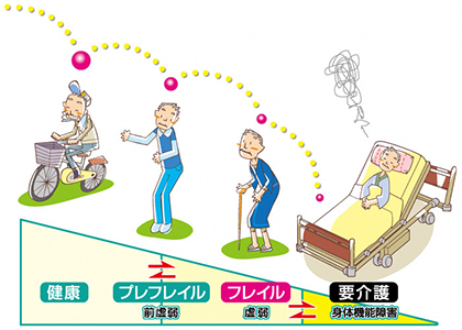 健康な状態から要介護までの過程を表したイラスト