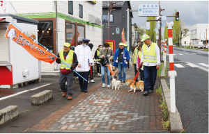 わんわんパトロールで街中を散歩している写真