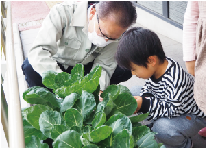 男性と男の子が野菜を収穫している写真