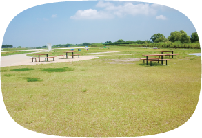 フルーツフラワーの里公園の全景写真
