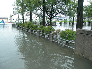 公園が冠水している写真