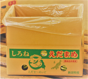 「しろね えだまめ」と書かれ「しろね えだま～めいど」のロゴが入った段ボール