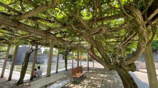 青山水道遊園