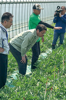 赤塚の地区のほ場の視察で生産者から説明を受けている中原市長