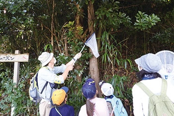 佐潟昆虫観察会