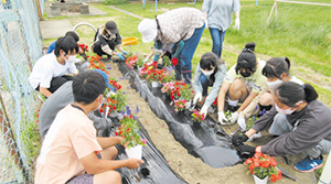 学校で花を植えている様子の写真