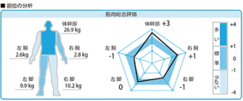 筋肉総合評価のグラフ