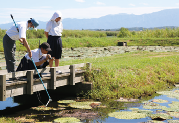 オニバス池の撮影