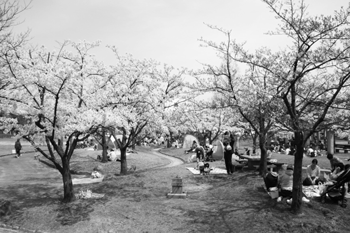 亀田公園