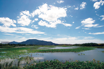 ラムサール条約湿地の佐潟