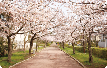 寺尾中央公園