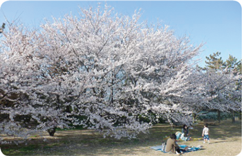 山の下海浜公園