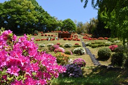 さつき山公園の写真